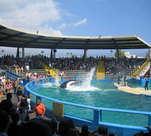 Miami Seaquarium