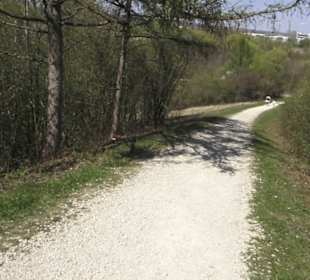 Monte Kik