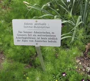 FIFA World Football Museum