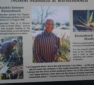 Botanischer Garten Kirstenbosch