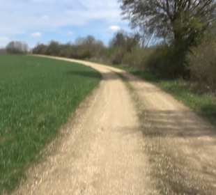 Heckenerlebnispfad Apfelstetten