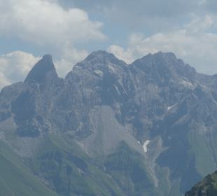 Fellhorn