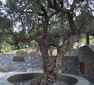 Eingangsbereich Soldatenfriedhof Maleme