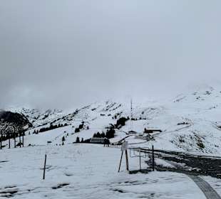 Wandern Mellau