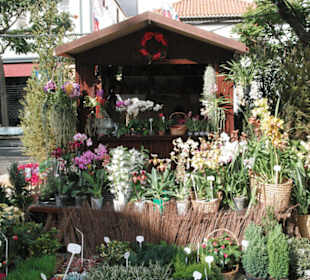 Blumenstand in Funchal
