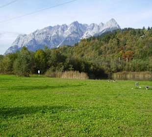 Landschaft am Radweg