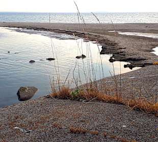Apollo Tagestour zur Greifswalder Oie 
