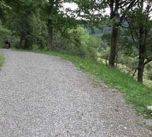 Naturschutzgebiet Zollerhalde Zimmern