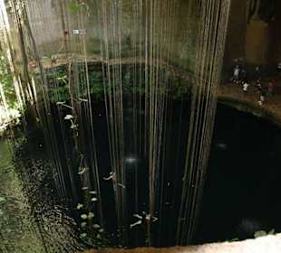 Die Cenote von oben