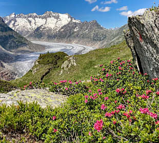 Gletscherweg Aletschgletscher