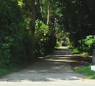 Laluna Ayurveda Resort