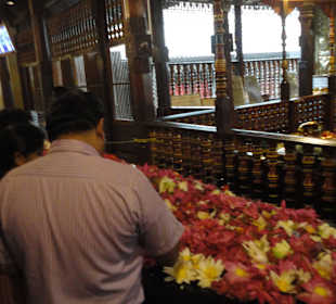 Temple of the Sacred Tooth