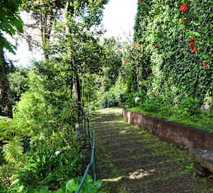 Impressionen vom Weg durch den Monte Palace Garden