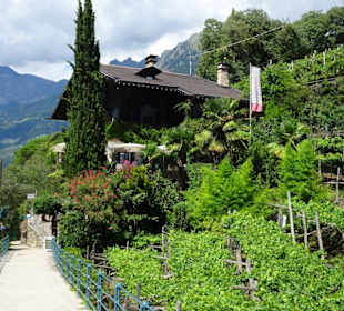 Impressionen vom Tappeinerweg