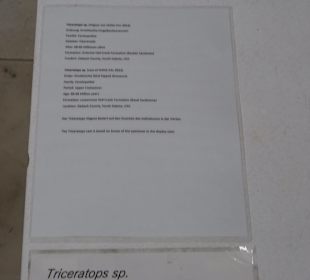 Staatliches Naturkunde Museum