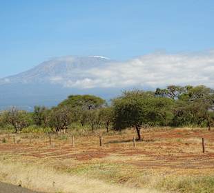 Erster Blick auf den Kili