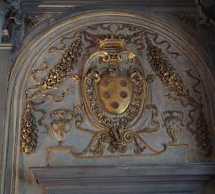 Герб Медичи