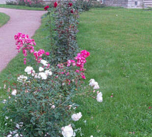 Parkanlage Pawlowsk - Rosenpavillion