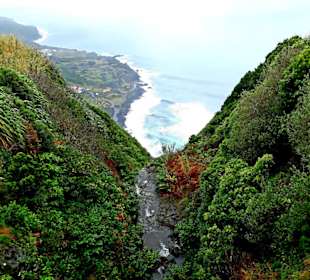 Inselrundfahrt Faial