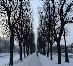 Pole Marsowe