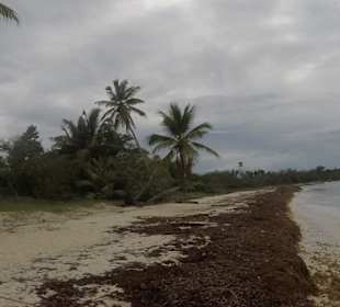 Badestop - nähe Saona...