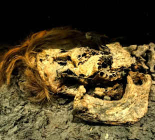 Moorleiche im Landesmuseum