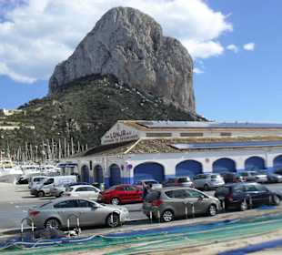 Fischmarkthalle am Hafen