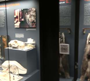 Naturkundemuseum