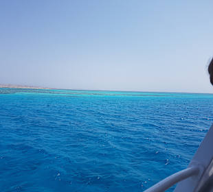 Bootstour Sea World Panorama Boat Hurghada