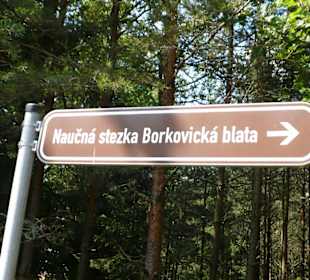 Borkovická blata