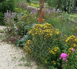 ALB-GOLD Naturgarten