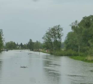 Fahrt mit dem Linienboot auf dem Alten Rhein