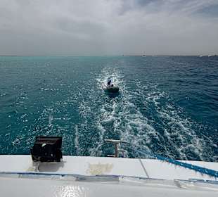 Fahrt zu den Delfinen 