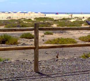 Ein Teil vom langem weissem Sandstrand