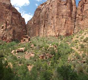 Typisch Zion N.P.