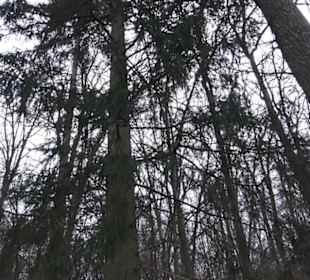 Wildpark Eichert