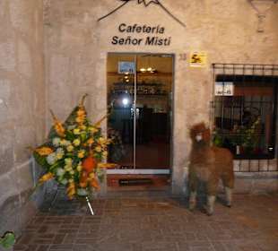 Wunderschöne Gänge