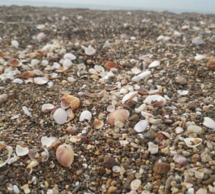 Strand Lara
