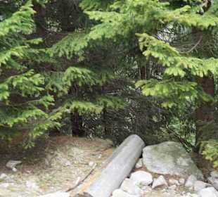 Berg Schneekoppe/Śnieżka