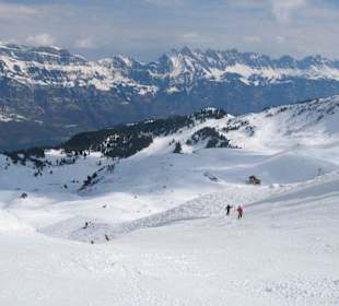 Panorama