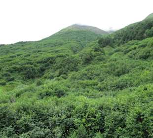 Auf dem Weg zu den Gletschern