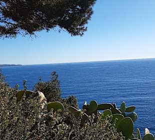 Wandern Tossa de Mar