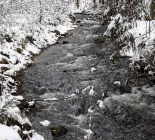 Wandern Rechenberg-Bienenmühle