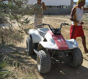 Quad fahren