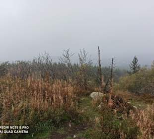 Blick vom Gipfel in die Landschaft