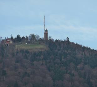 Wandern in Baden-Baden und Umgebung