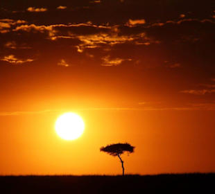 Sonnenaufgang Masei Mara
