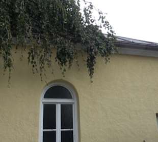 Alter Friedhof