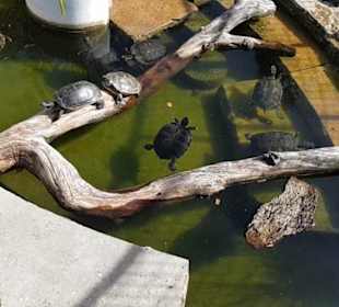 Exotarium