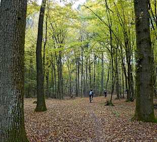 Bike tour around the lake